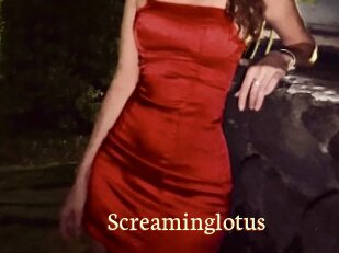 Screaminglotus