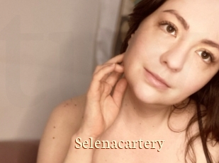 Selenacartery
