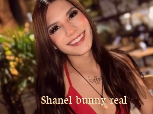 Shanel_bunny_real