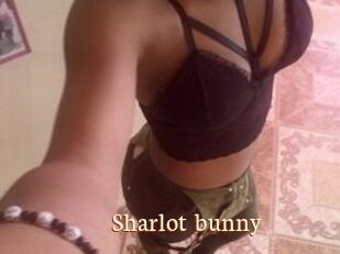 Sharlot_bunny