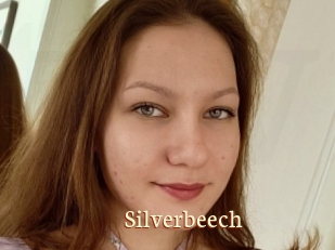 Silverbeech