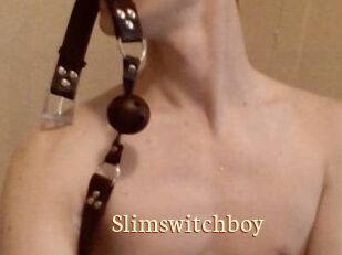 Slimswitchboy