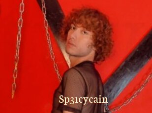 Sp31cycain