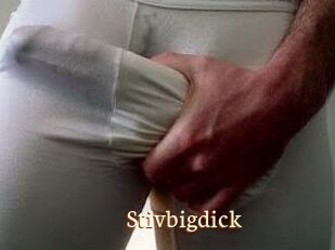 Stivbigdick