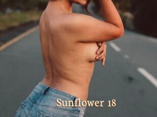 Sunflower_18