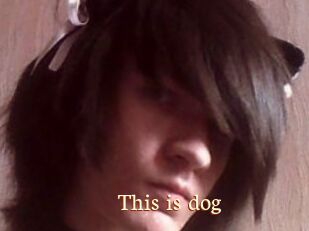 This_is_dog