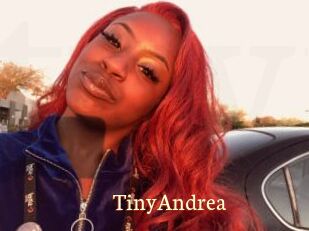TinyAndrea