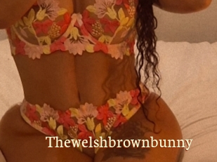 Thewelshbrownbunny