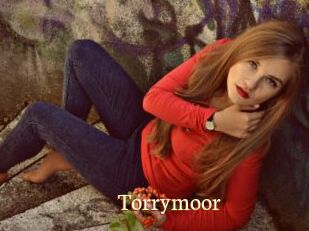 Torrymoor