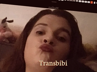 Transbibi