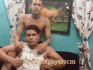 Twohotguys20cm