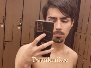 Twunkmikee