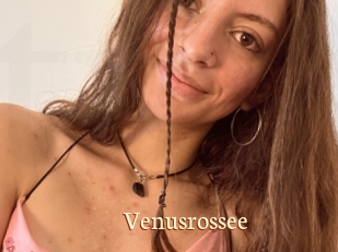 Venusrossee