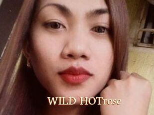WILD_HOTrose