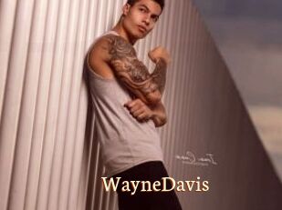 WayneDavis