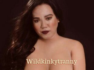 Wildkinkytranny