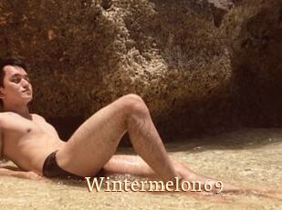 Wintermelon69